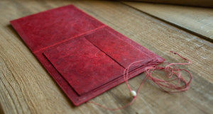 Holi Case