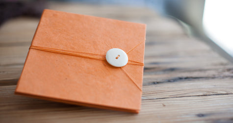 Salmon Case