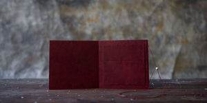 Pomegranate Case